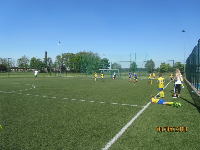 pino 15